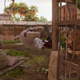 Image for article titled A Screenshot Tour Back Through The Stunning Assassin's Creed Origins